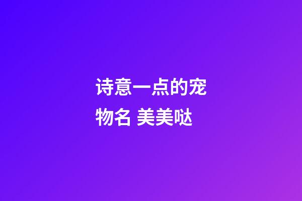 诗意一点的宠物名 美美哒